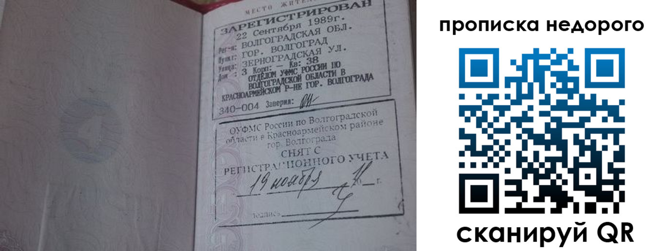 прописка гарантия в Королёве